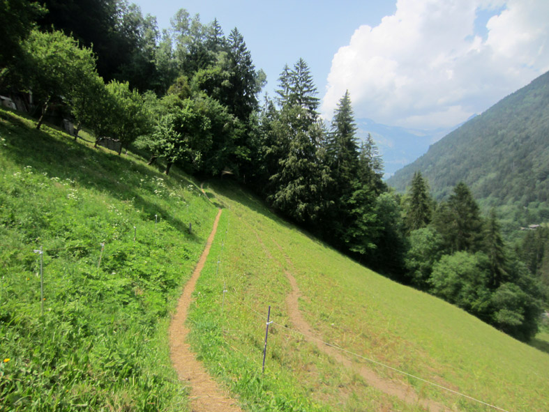 Sentier du Val Montjoie : Belle monotrace qui plonge dans la forêt