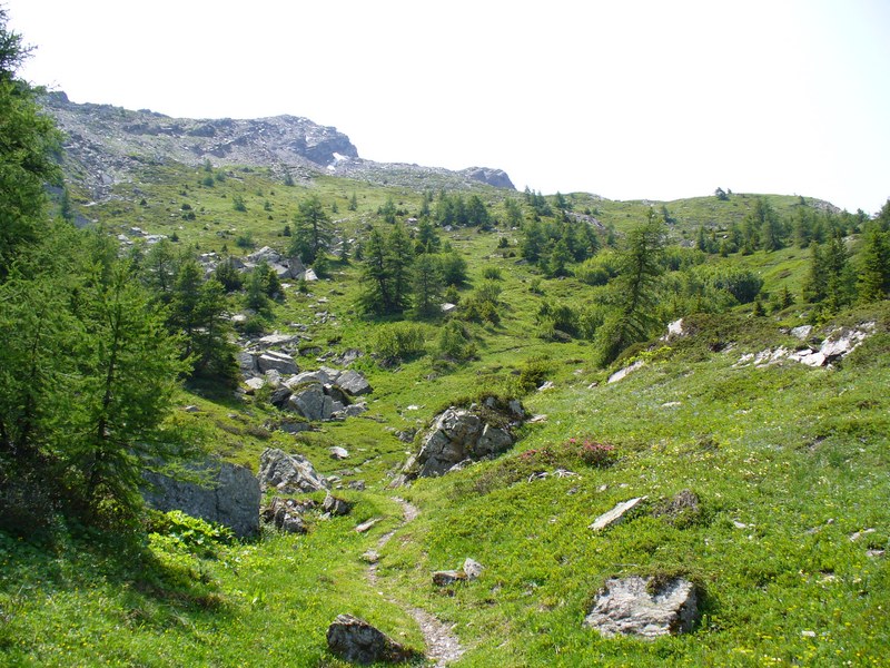 #17 Sentier Descente : Le single bien ludique Sentier Descente : Le single bien ludique