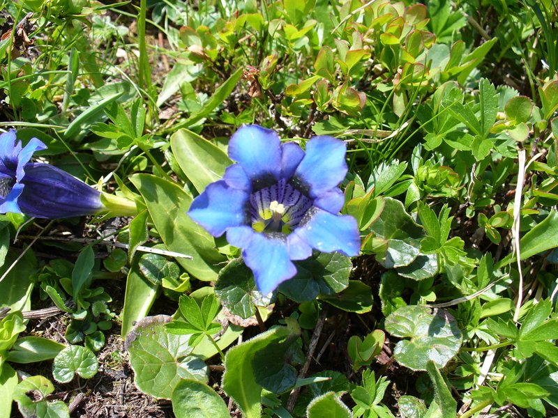 #14 Pause Nature : Il y en a partout ... Pause Nature : Il y en a partout ...