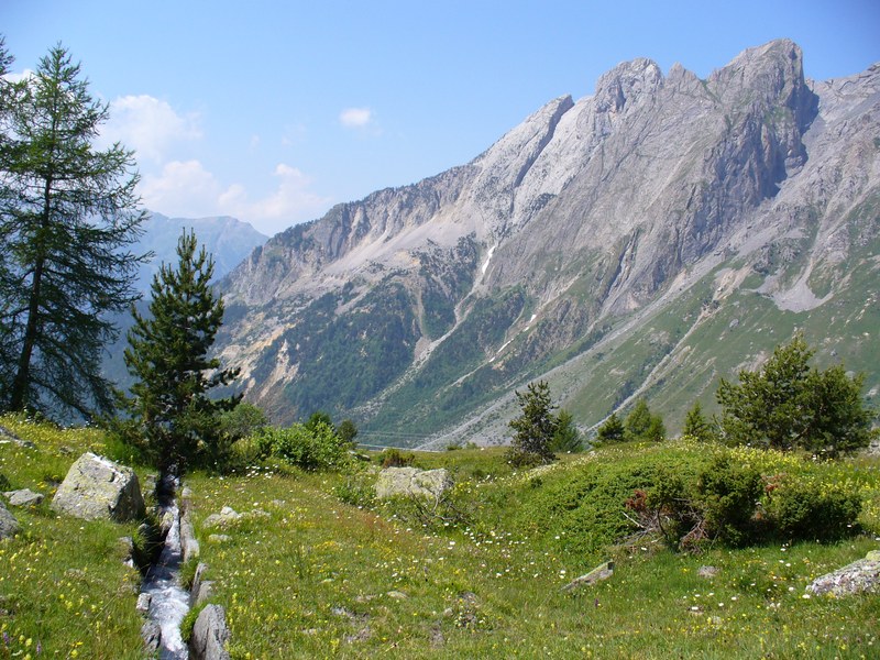 Sentier Balcon : ... Fleuri ...