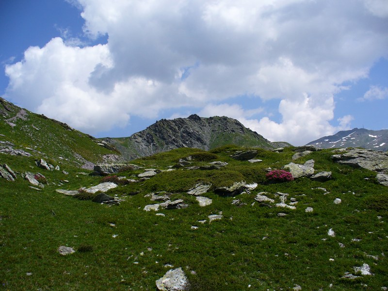 Piste Montée : ... Cadre magnifique