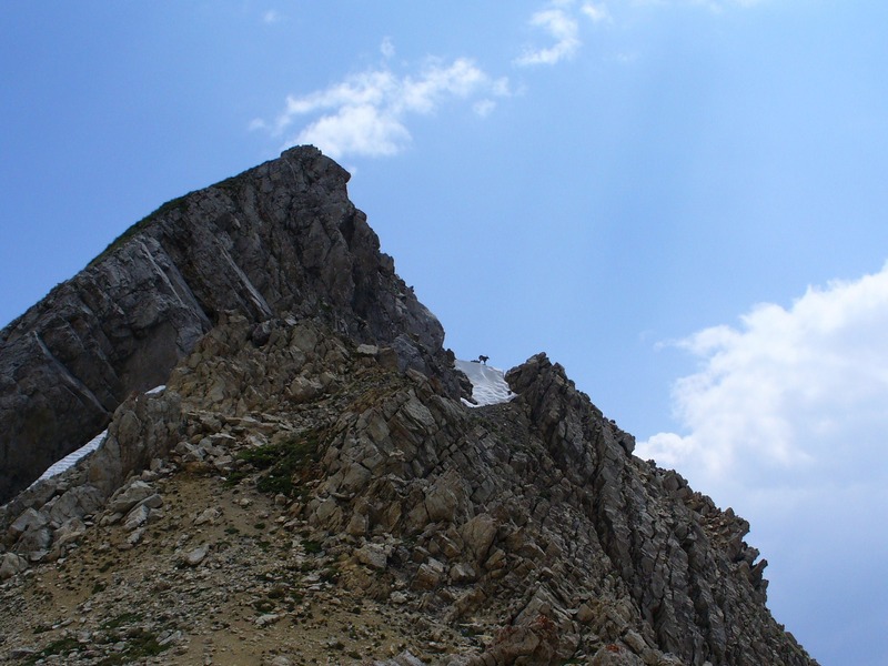 Sentier Montée : Un bouquetin sur les crêtes