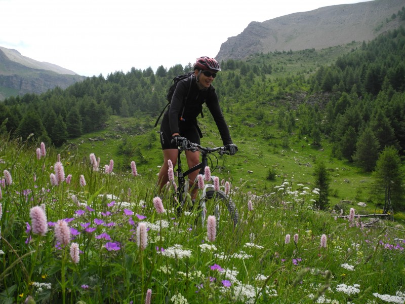 col du Crachet : ohhh les zolies fleurs!