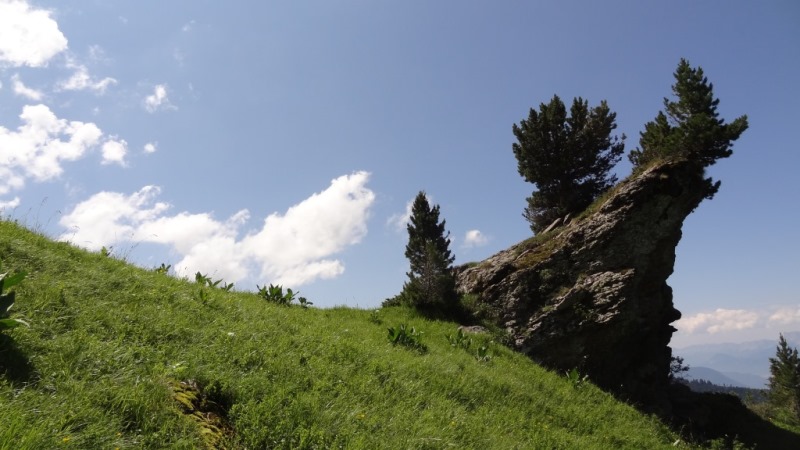 toujorus plus haut les sapins : Joli bloc au fond du cul de sac