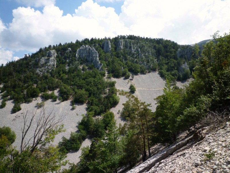 #2 Grand Vallat : magnifique contraste entre pierrier et forêt. Grand Vallat : magnifique contraste entre pierrier et forêt.