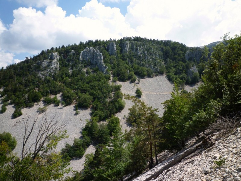 Grand Vallat : magnifique contraste entre pierrier et forêt.