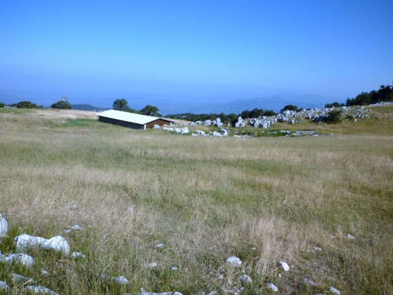 #2 Bergerie de l Bergerie de l'Avocat : paysage steppique, au-dessus de la forêt.