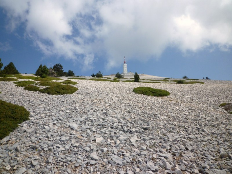 Le grand pierrier : avec les taches des genévriers et les pins (à crochet surtout)