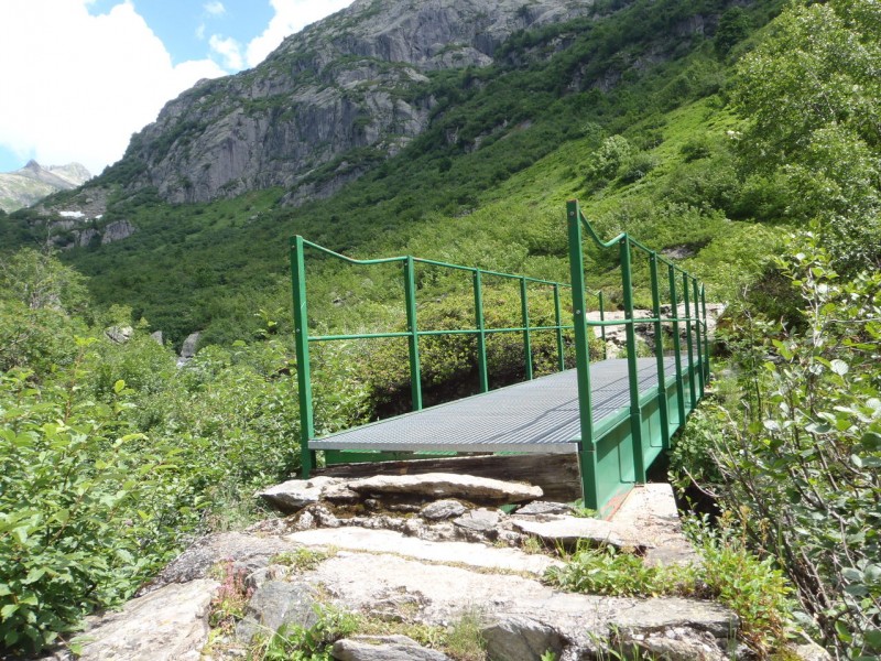 Pont D'Arlevé. : Descente pas facile, grand nombres de rhododendron .