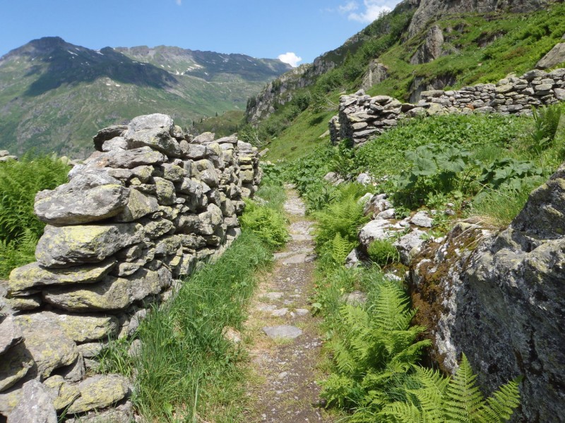 Chalets D'Arlevé. : Vraiment des costaux les anciens.