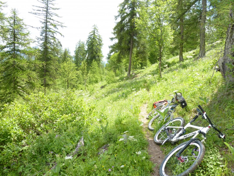 pause col Anon : forêt de Mélèze, passage sympa