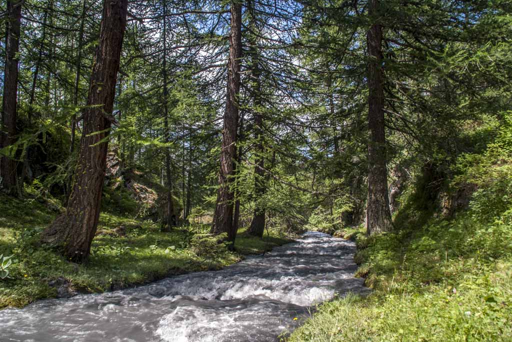 Ruisseau du Clou : spot à pic-nic