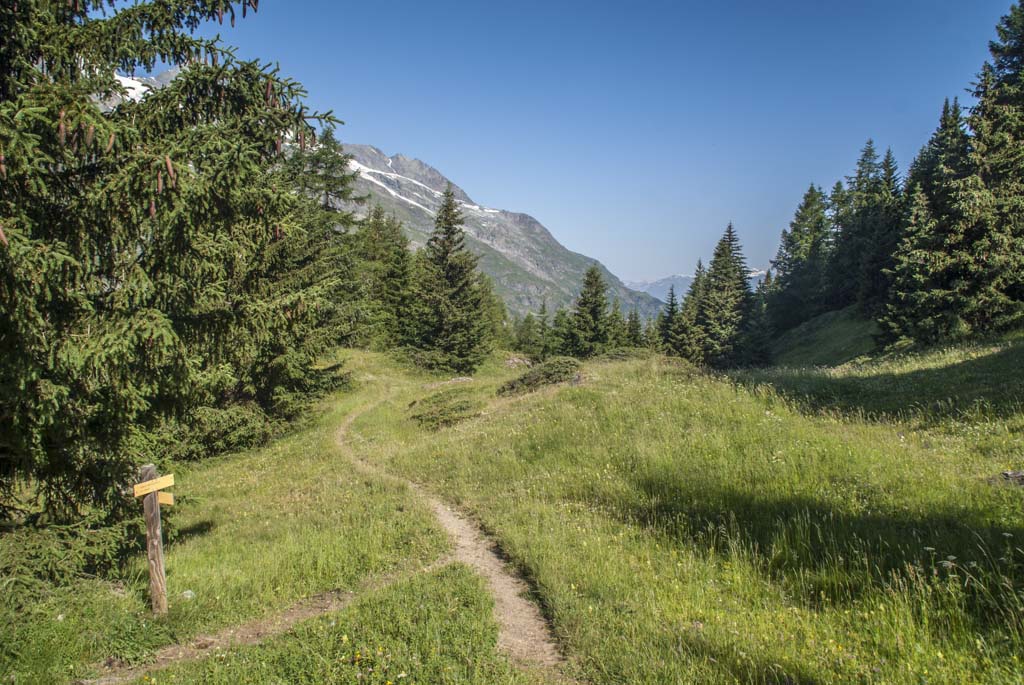 L'itinéraire est rejoint : on vient de gauche, et on monte derrière moi