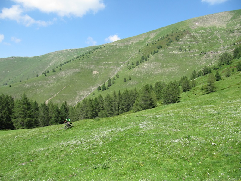 Marguareis : Avant la balise 327c, le sentier se prend au bas de cette clairière.