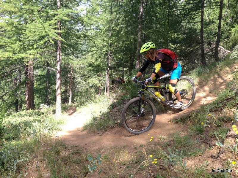 #4 épingle : Pat en Altitude full carbone 650B épingle : Pat en Altitude full carbone 650B