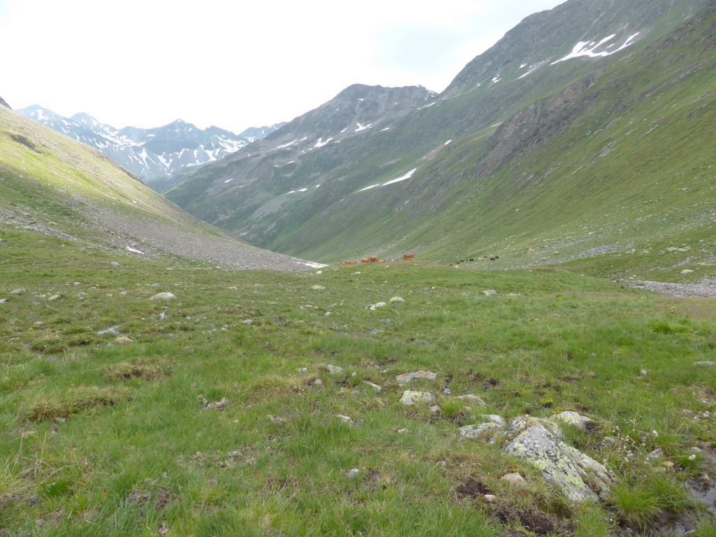 #11 Tour des Grisons J2 : A la places des pierres, il ya aussi les trous de vaches & les bouses Tour des Grisons J2 : A la places des pierres, il ya aussi les trous de vaches & les bouses