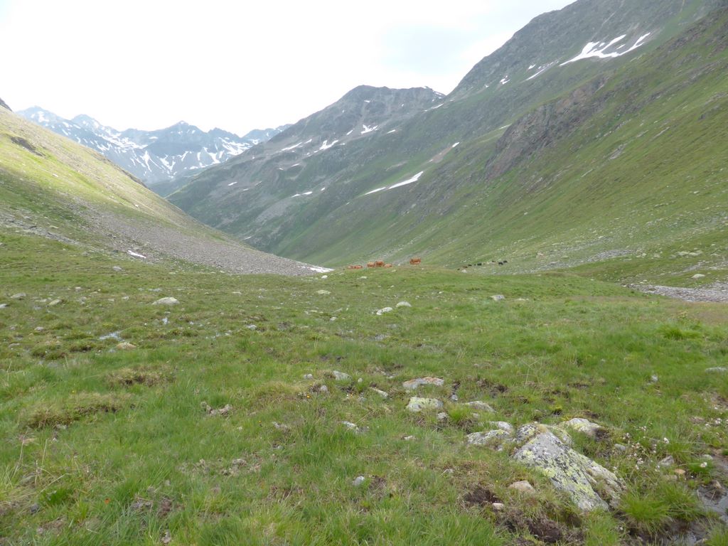 Tour des Grisons J2 : A la places des pierres, il ya aussi les trous de vaches & les bouses