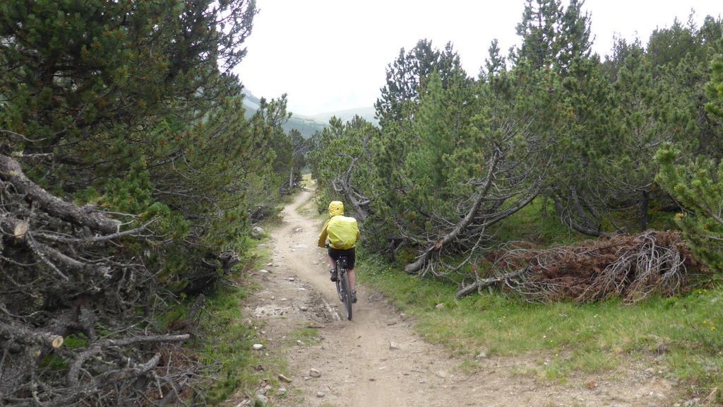 #2 Tour des Grisons J4 : super sentier de montée Tour des Grisons J4 : super sentier de montée