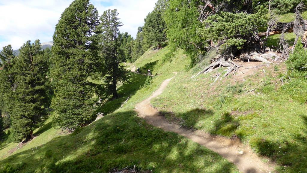 Tour des Grisons J5 : Le Premier sentier, balisé VTT et très bon !