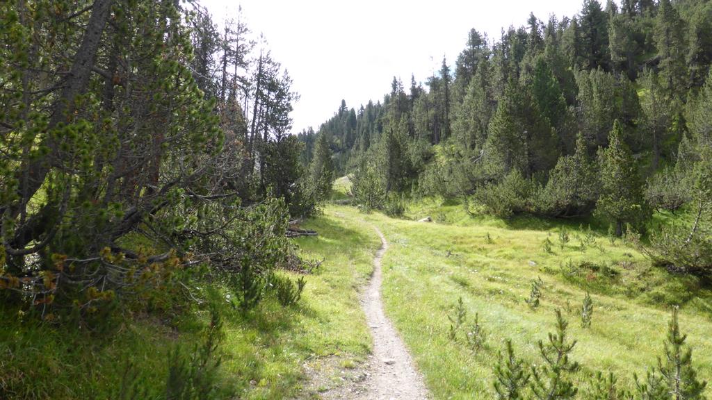 Tour des Grisons J5 : 2eme sentier sous le col, extra aussi !