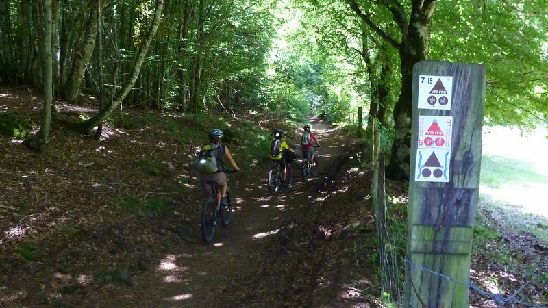 #10 Bon balisage : D Bon balisage : D'ailleurs c'est quoi ce fléchage avec les 2 "rivières" de chaque côté du signe VTT ?