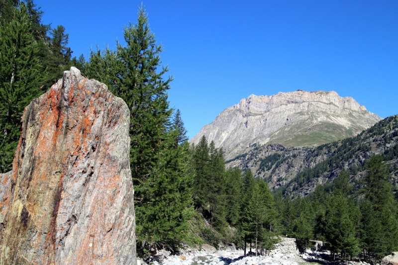 Montée à Ambin : dans le rétro c'est beau !