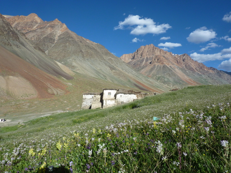 Dharsha-Padum : Le village de Shing