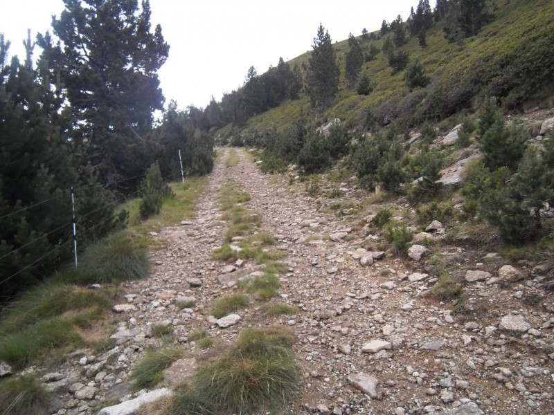 La piste caillouteuse : L'ancienne piste juste après la Collade de la Roquette, c'est instable, mais ça passe assez bien.