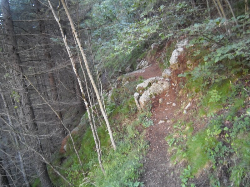 Début du GR10 : Après, on trouve ce type de sentier.