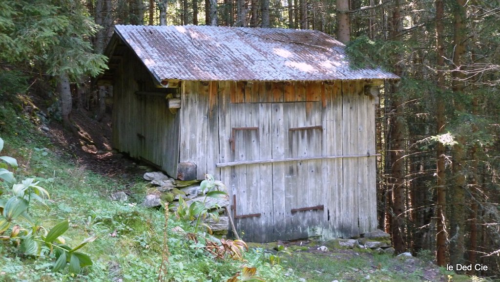 Cabane : Ce n'est pas celle de l'Allée mais juste en dessous