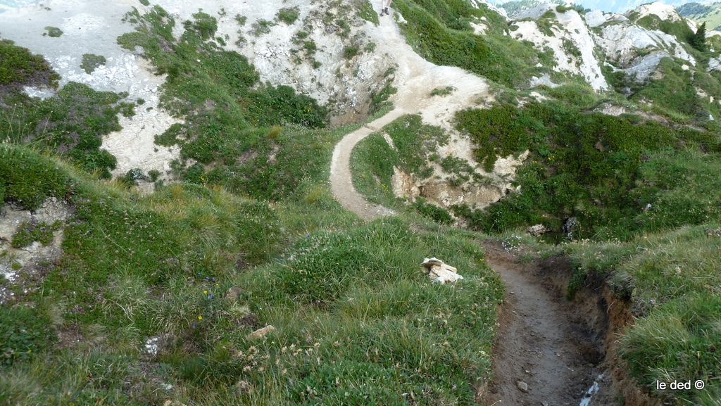 #5 crêtes du Mont Charvet : sentier sinueux qui se fraye un itinéraire entre les dolines crêtes du Mont Charvet : sentier sinueux qui se fraye un itinéraire entre les dolines