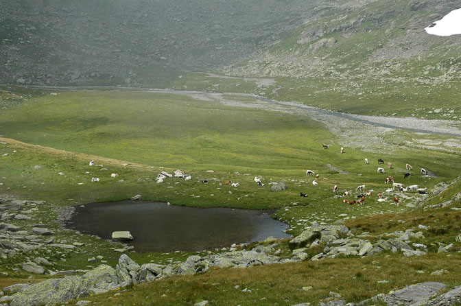 Val Clarea : laghi Clapier