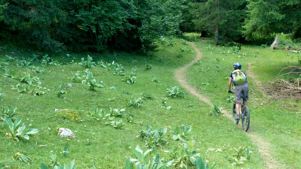 #5 Égarement sur le GR5 : Un joli single nous attire qui deviendra assez vite pas top roulant, voir même franchement cassant. Égarement sur le GR5 : Un joli single nous attire qui deviendra assez vite pas top roulant, voir même franchement cassant.