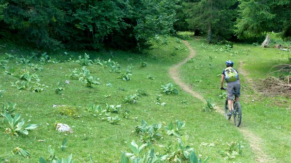 Égarement sur le GR5 : Un joli single nous attire qui deviendra assez vite pas top roulant, voir même franchement cassant.