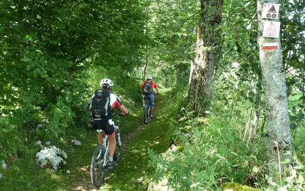 Cool, un beau chemin... : ...belle surprise pour finir cette super journée