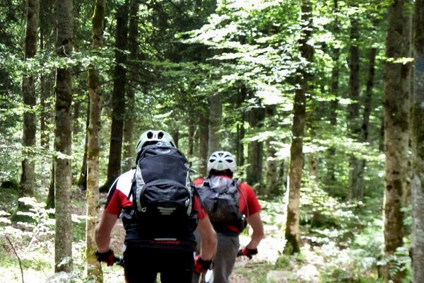 Au taquet : Un bout de bon sentier et voilà les fauves lâchés