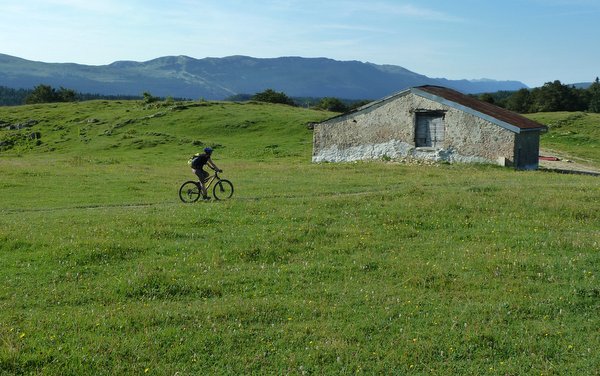 Plateau du Jura : Plus de paysage ce dernier jour et toujours le vert du Jura