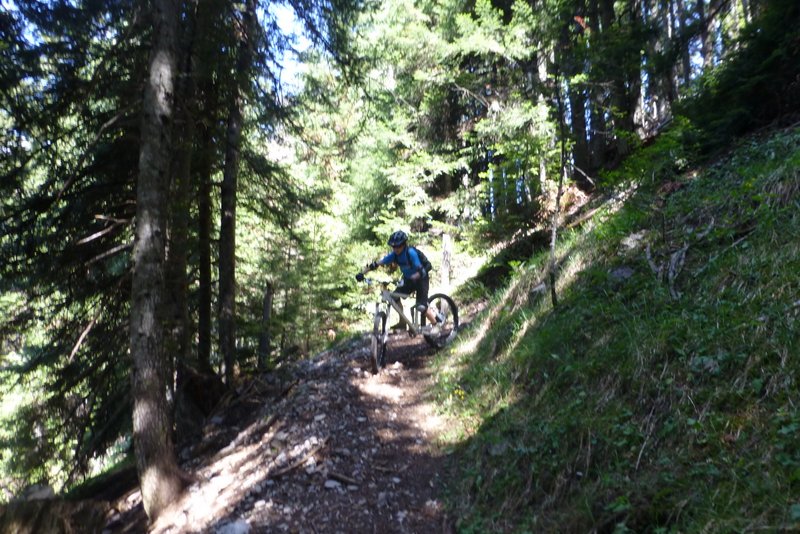 #15 Epingle : Tim les a presque toutes réussies... Epingle : Tim les a presque toutes réussies...