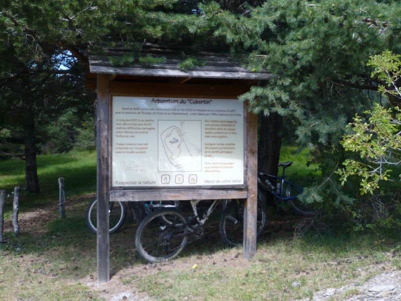 #10 Le Cubertin : arboretum... Le Cubertin : arboretum...