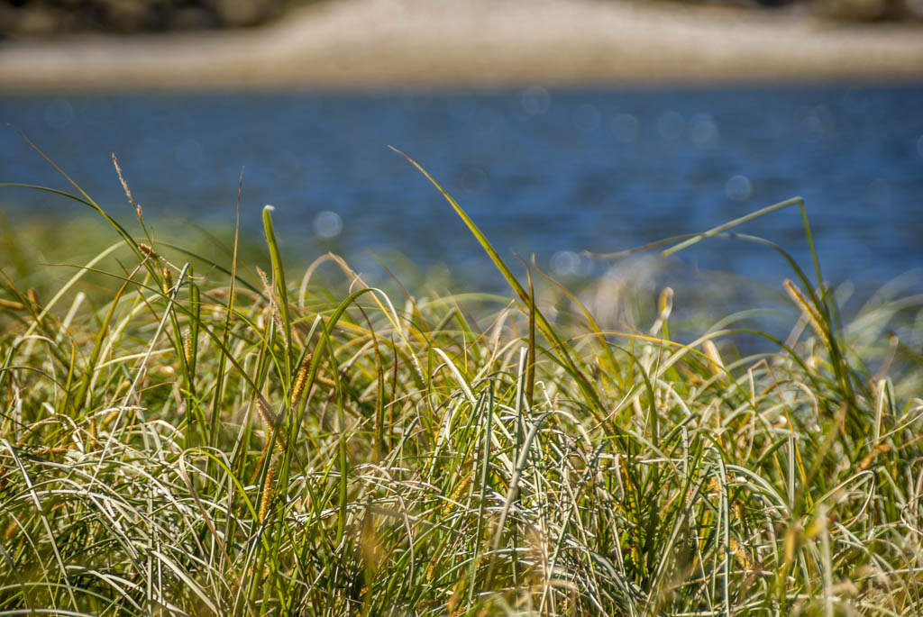 #13 Lac Chavillon : quelle paix... Lac Chavillon : quelle paix...