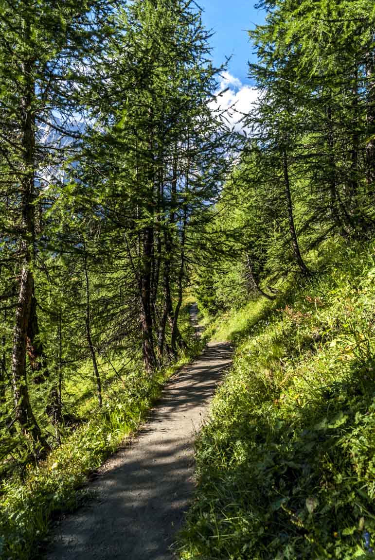 Sous le refuge Bertone : faut dire que le sentier s'y prête assez :)