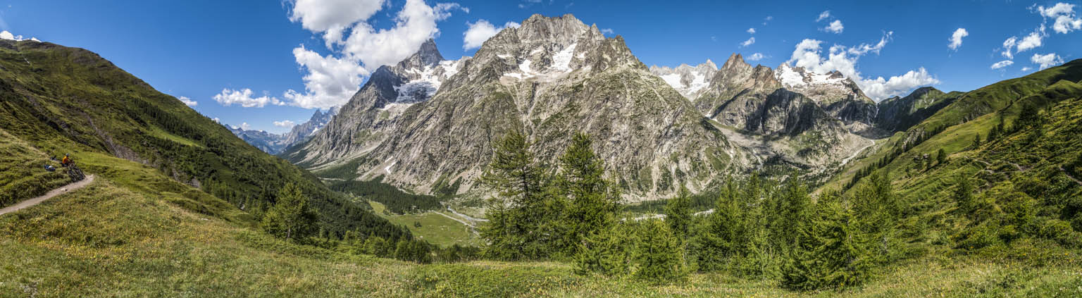 Grandes Jorasses & Co : depuis le balcon du TMB