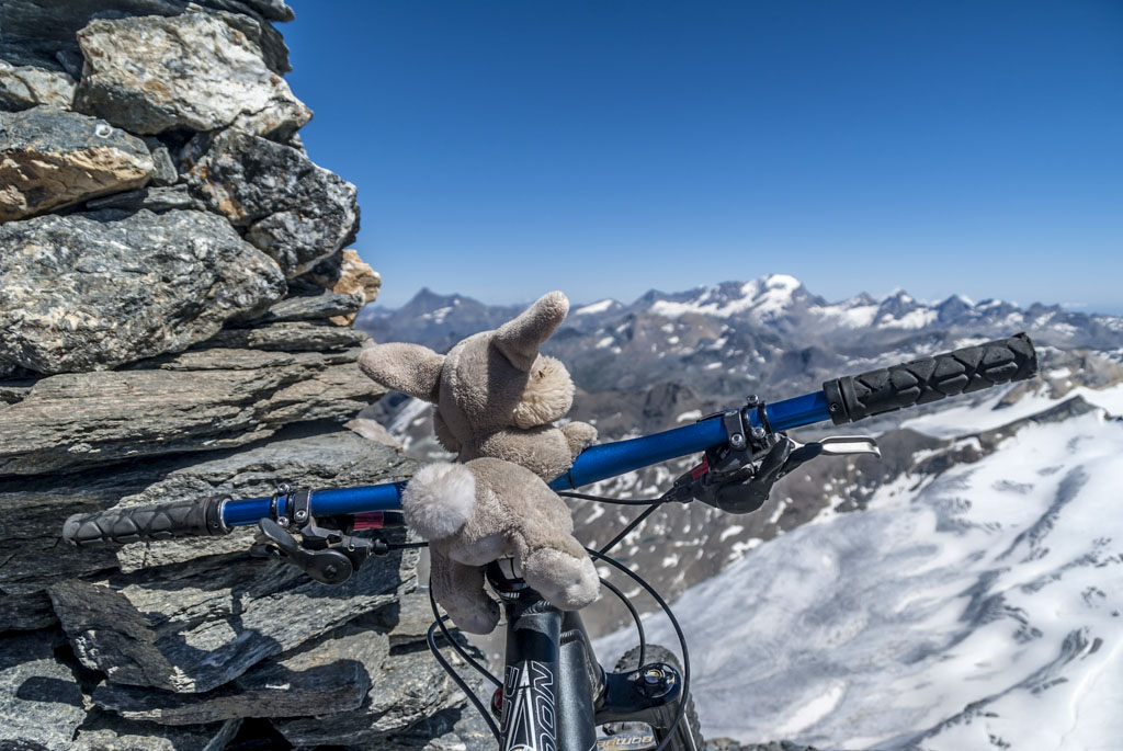 René : incontournable mascotte du Crew, se les gèle aussi.