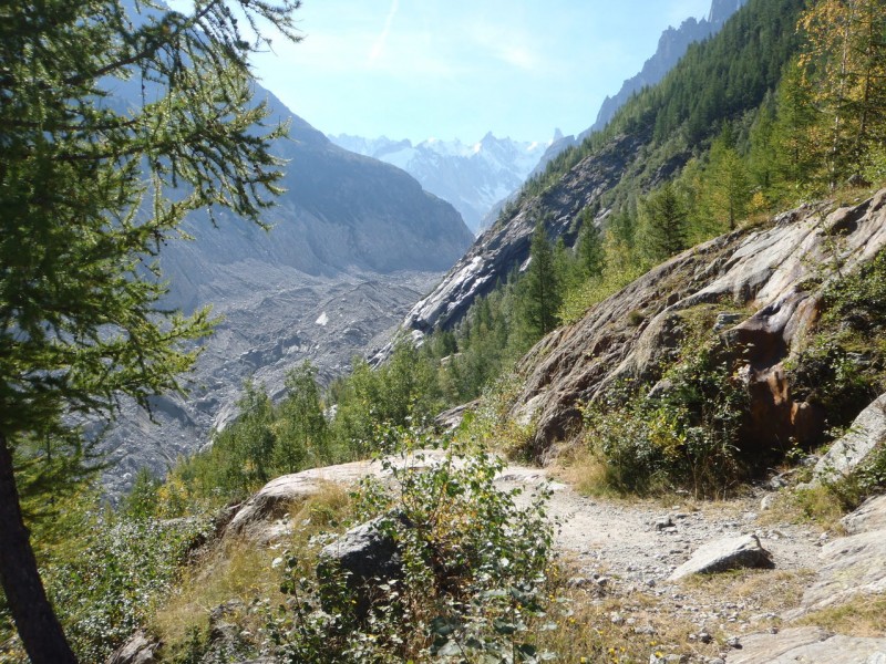 Mer de Glace. : Descente pour se rendre au front de la Mer de Glace, uniquement à pieds.