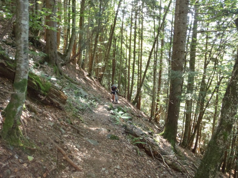 #12 Sentier de Montvauthier. : Avec la fatigue musculaire il a choisi de jouer la simplicité. Sentier de Montvauthier. : Avec la fatigue musculaire il a choisi de jouer la simplicité.