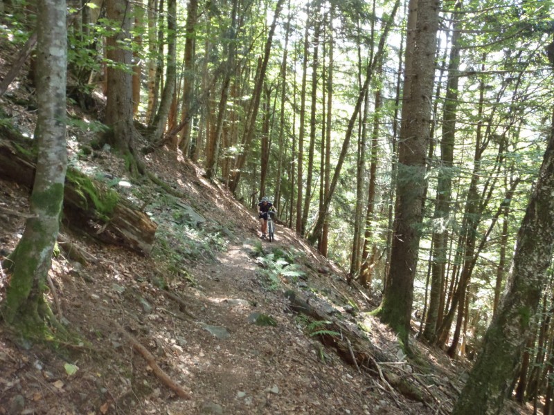 Sentier de Montvauthier. : Avec la fatigue musculaire il a choisi de jouer la simplicité.