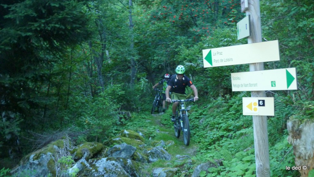 Sentier de Sololieu : l'alternative à la piste du fond de vallée. Une bouse, dixit le Provençal :)