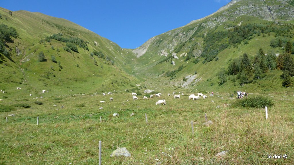 #63 col du Tricot : Versant SW descendu col du Tricot : Versant SW descendu