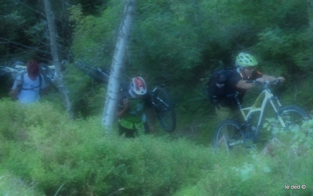 Sentier de Sololieu : Embrumés, ils étaient :)