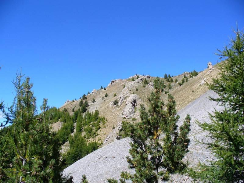 Sentier Montée : Panorama